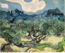 Haga click para ver la imagen ampliada 1889 olive trees with the alpilles in the background.jpg